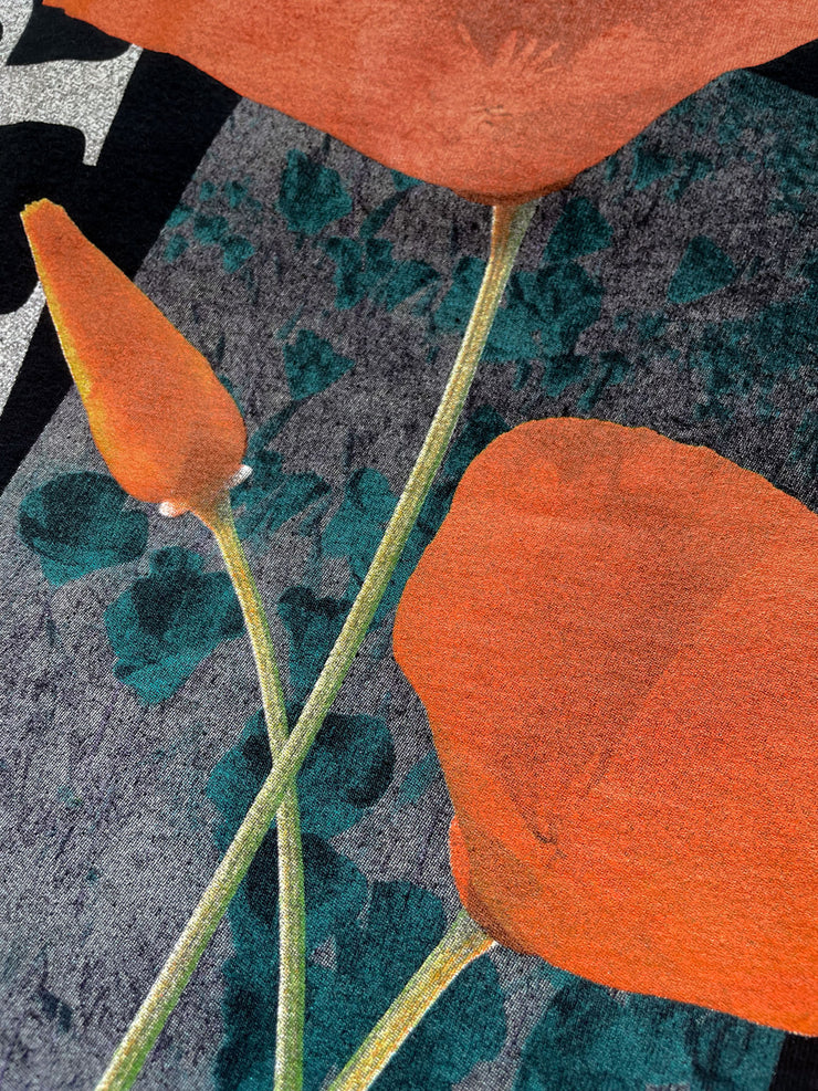 California Poppy &